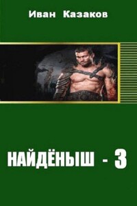 Найденыш - 3 - Иван Казаков