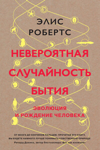 Невероятная случайность бытия - Элис Робертс