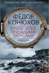 Кругосветка под алыми парусами. Дневниковые записи - Федор Филиппович Конюхов