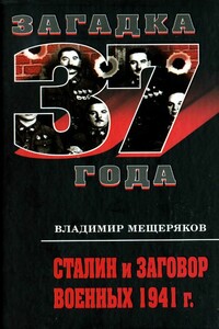 Сталин и заговорщики сорок первого года. Поиск истины - Владимир Порфирьевич Мещеряков