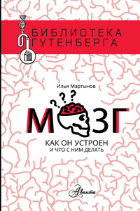 Мозг. Как он устроен и что с ним делать - Илья Андреевич Мартынов