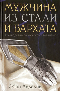 Мужчина из стали и бархата - Обри Анделин