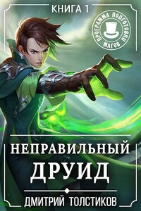 Неправильный Друид - Дмитрий Толстиков