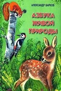 Беличий порядок - Александр Сергеевич Барков