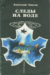 На Чулышмане - Анатолий Сергеевич Онегов