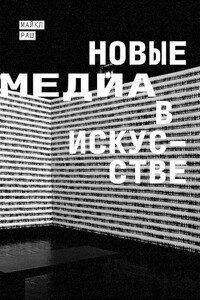 Новые медиа в искусстве - Майкл Раш