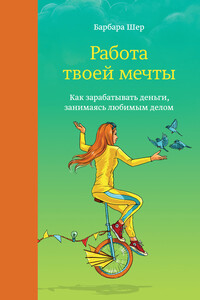 Работа твоей мечты. Как зарабатывать деньги, занимаясь любимым делом - Барбара Шер