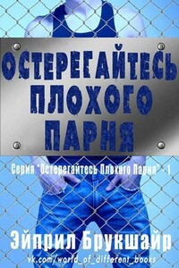 Остерегайтесь плохого парня - Эйприл Брукшайр