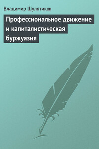 Профессиональное движение и капиталистическая буржуазия - Владимир Михайлович Шулятиков