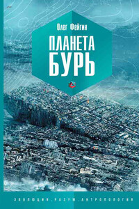 Планета бурь - Олег Орестович Фейгин