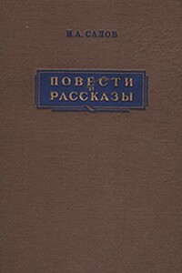 Мельница купца Чесалкина - Илья Александрович Салов