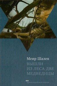 Вышли из леса две медведицы - Меир Шалев
