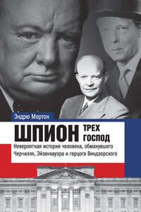 Шпион трех господ - Эндрю Мортон