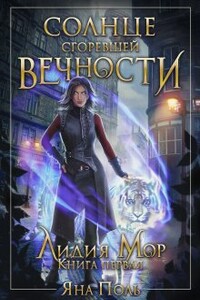 Солнце сгоревшей вечности - Яна Поль