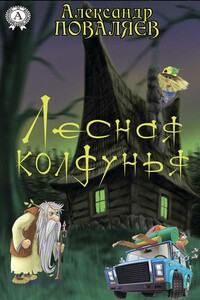 Лесная колдунья - Александр Максимович Поваляев