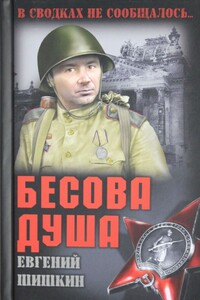 Бесова душа - Евгений Васильевич Шишкин