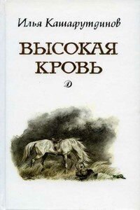 Высокая кровь - Ильгиз Бариевич Кашафутдинов