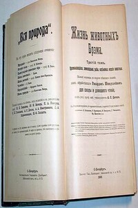 Нефритовые четки - Борис Акунин