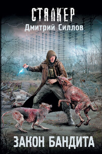 Закон бандита - Дмитрий Олегович Силлов