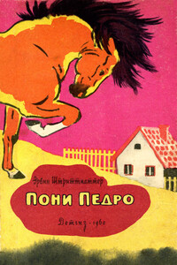 Пони Педро - Эрвин Штриттматтер