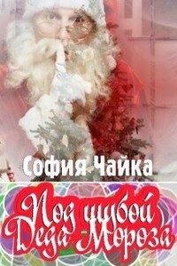 Под шубой Деда Мороза - София Чайка
