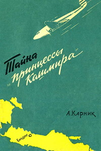 Тайна «Принцессы Кашмира» - Анант Шридар Карник