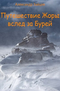 Путешествие Жоры вслед за Бурей - Александр Зайцев