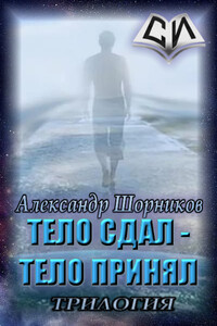 Выбор цели - Александр Борисович Шорников