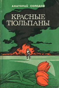 Красные тюльпаны - Анатолий Семёнович Солодов