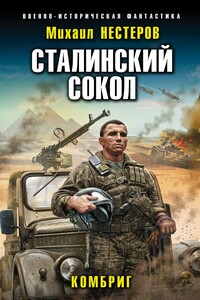Комбриг - Михаил Альбертович Нестеров