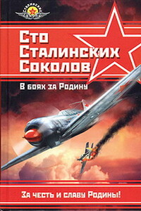 Сто сталинских соколов. В боях за Родину - Федор Яковлевич Фалалеев