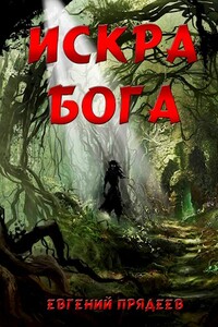 Искра Бога - Евгений Прядеев