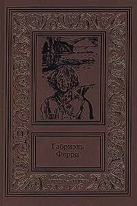 Лесной бродяга - Габриэль Ферри