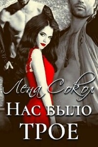 Нас было трое - Елена Сокол