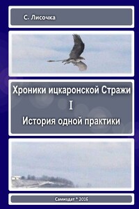 История одной практики - С Лисочка
