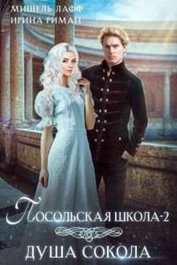 Посольская школа. Душа Сокола - Дэлия Мор