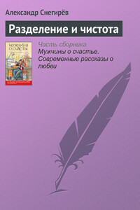 Разделение и чистота - Александр Снегирев