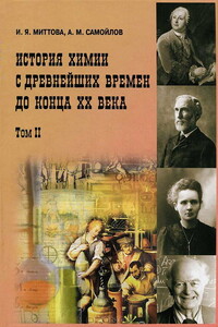 История химии с древнейших времен до конца XX века. В 2 т. Т. 2 - Ирина Яковлевна Миттова, Александр Михайлович Самойлов