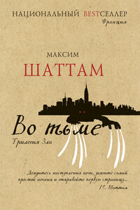 Во тьме - Максим Шаттам