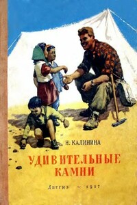 Удивительные камни - Надежда Дмитриевна Калинина