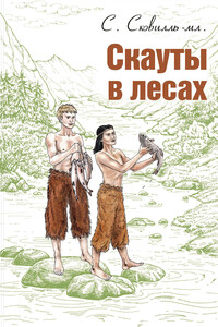 Скауты в лесах - Сэмюэль Сковилль
