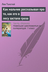 Как мальчик рассказывал про то, как его в лесу застала гроза - Лев Николаевич Толстой