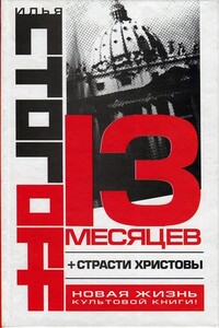 13 месяцев - Илья Юрьевич Стогов