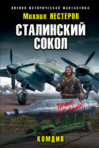 Комдив - Михаил Альбертович Нестеров