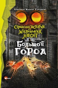 Большой город - Кристиан Маккей Хайдикер