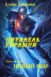 Новый мир - Алекс Каменев