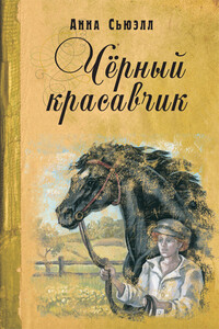Черный Красавчик - Анна Сьюэлл