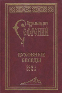 Духовные беседы - Софроний