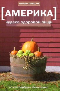 Америка. Чудеса здоровой пищи - Барбара Кингсолвер