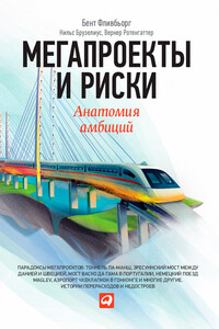 Мегапроекты и риски. Анатомия амбиций - Вернер Ротенгаттер, Нильс Брузелиус